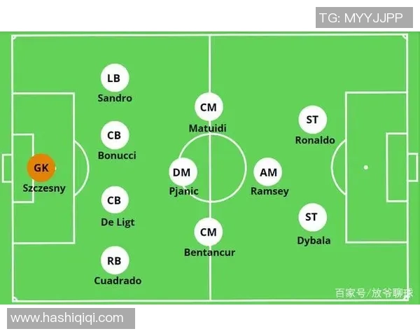 深入探讨上海篮球队的战术配合与球员默契程度的全面分析